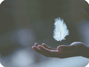 ねろたんのなんでもお話会イメージ写真