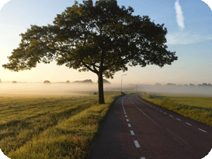 スーパーヴィジョンイメージ写真