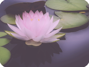 個人カウンセリングイメージ写真