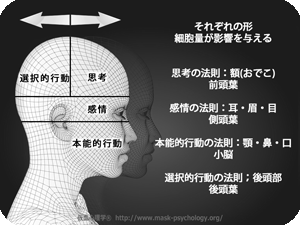 仮面心理学ベーシッククラスイメージ写真