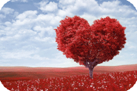 ツールイメージ画像