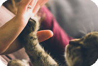 ツールイメージ画像