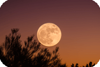 ツールイメージ画像