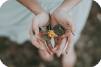 ツールイメージ画像